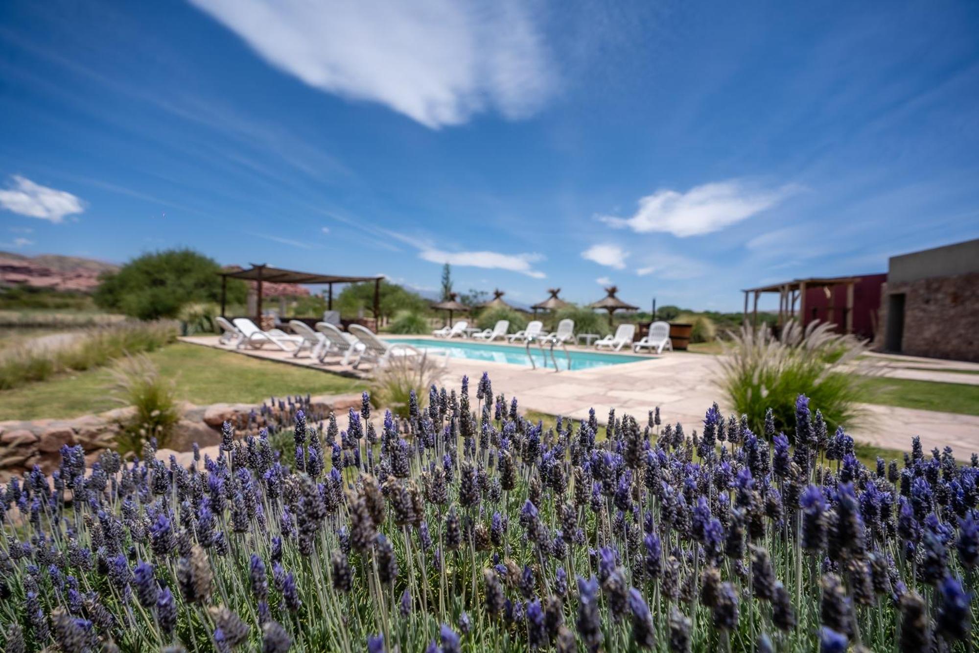 Hotel Castillos De Cafayate Zewnętrze zdjęcie